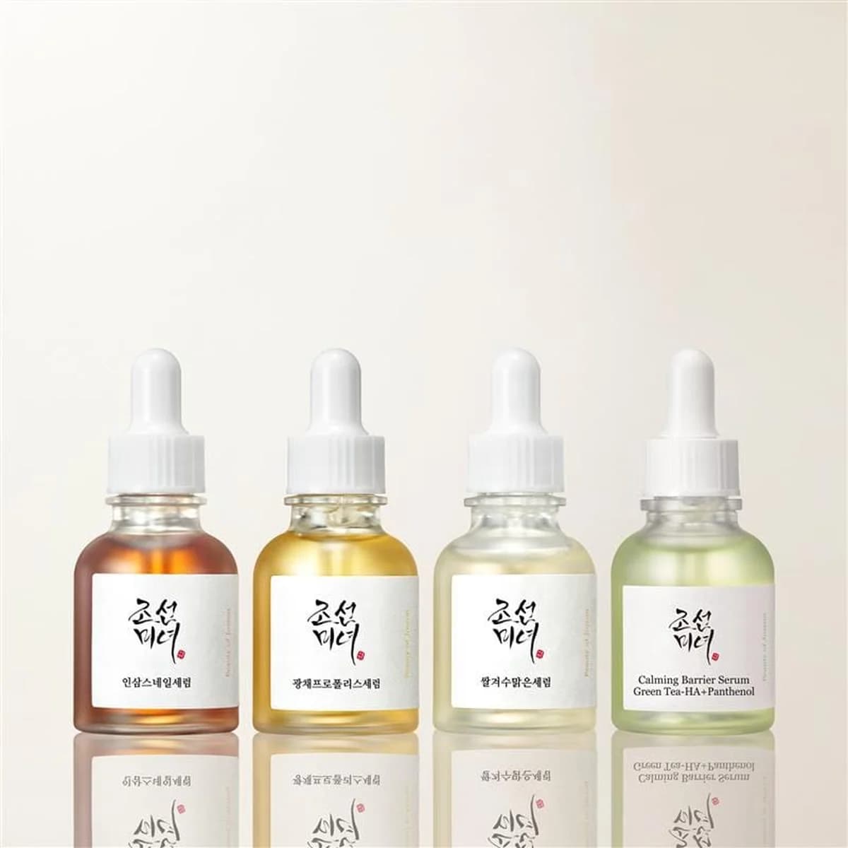 Beauty Of Joseon Perfect Hanbang Palette